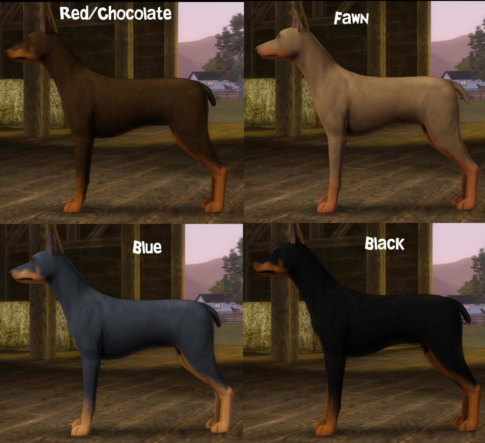 Better Doberman Pinscher Cresties Creations