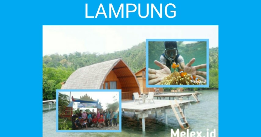 Harga Paket Tour Wisata Pahawang dan Teluk Kiluan Lampung ...