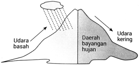 Hujan yang diakibatkan oleh massa udara yang mengandung uap air naik secara vertikal dinamakan hujan