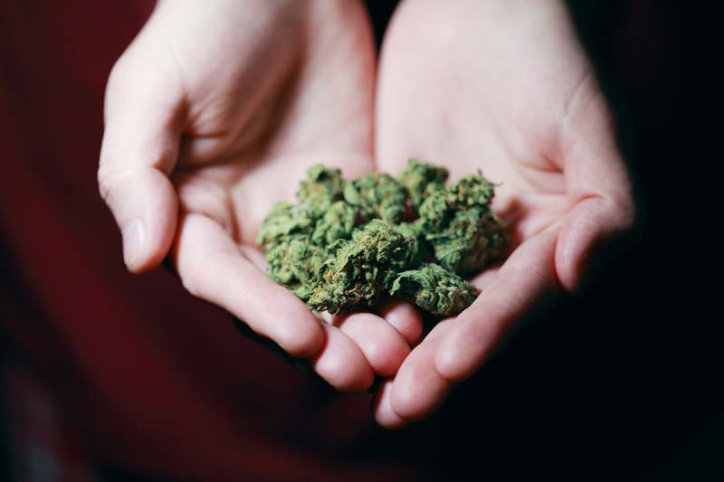 Here's How Marijuana Affects Your Heart — But, Not in a Good Way