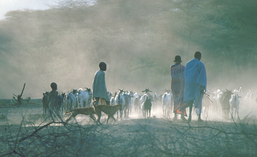 a pastoral tribe in Africa 　