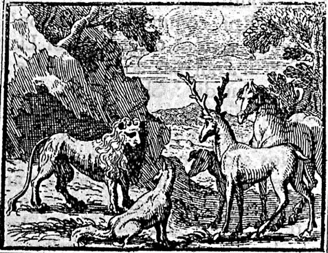 Tiger und Löwe - Die Wahl zum König der Tiere - Versprechen Tiger und Löwe - Die Wahl zum König der Tiere - Versprechen