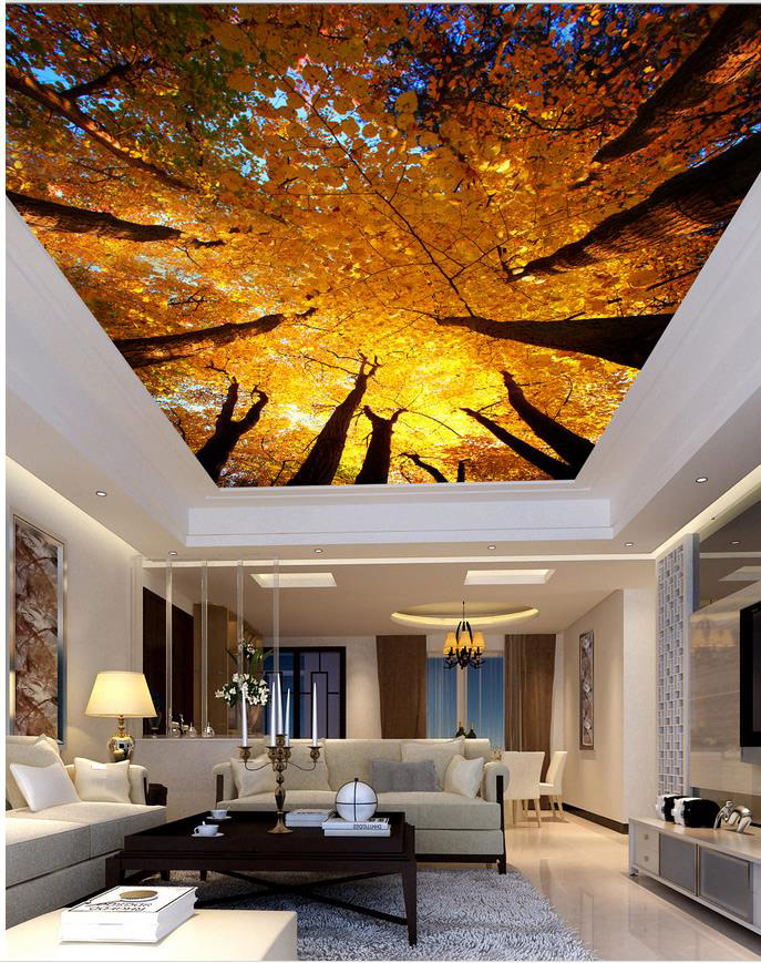 New 3d Ceiling Art Designs For Modern Interior