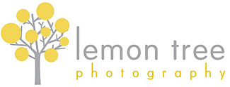 lemon tree photography - blog