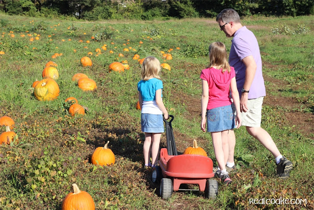 Family Fun idea of going to a pumpkin patch from realcoake.com