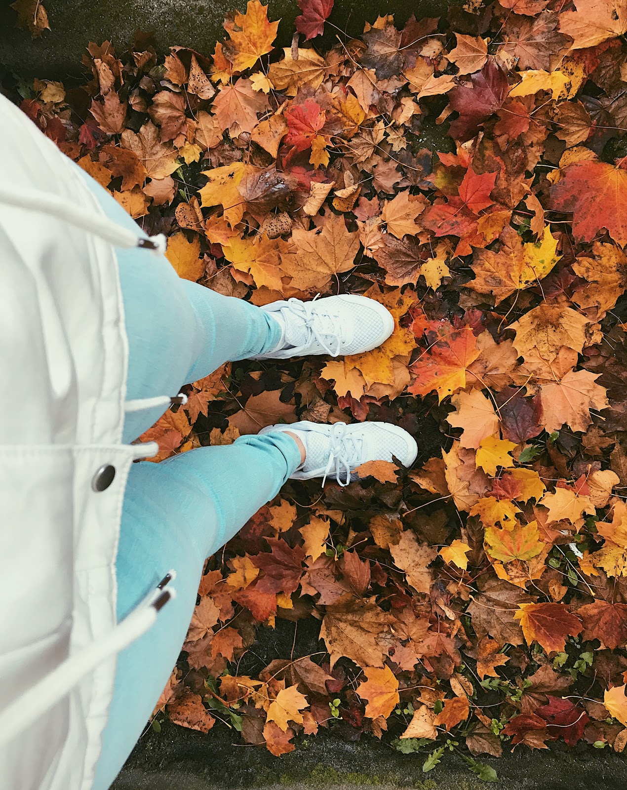 Mijn week in foto's # 7. Mooie herfst kleuren & Sushi eten. Mijn week in foto's # 7. Mooie herfst kleuren & Sushi eten.