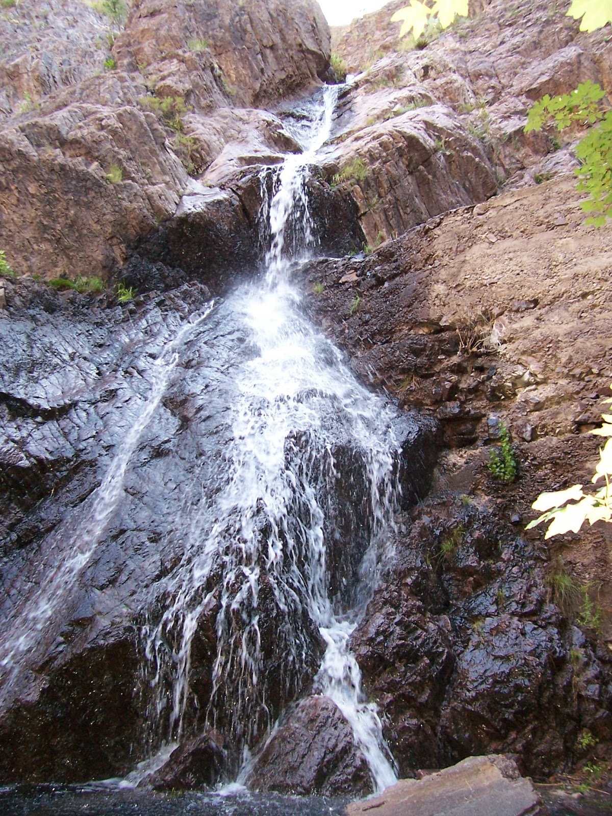 Southern New Mexico Explorer Soledad Canyon, Bar Canyon Trail Organ