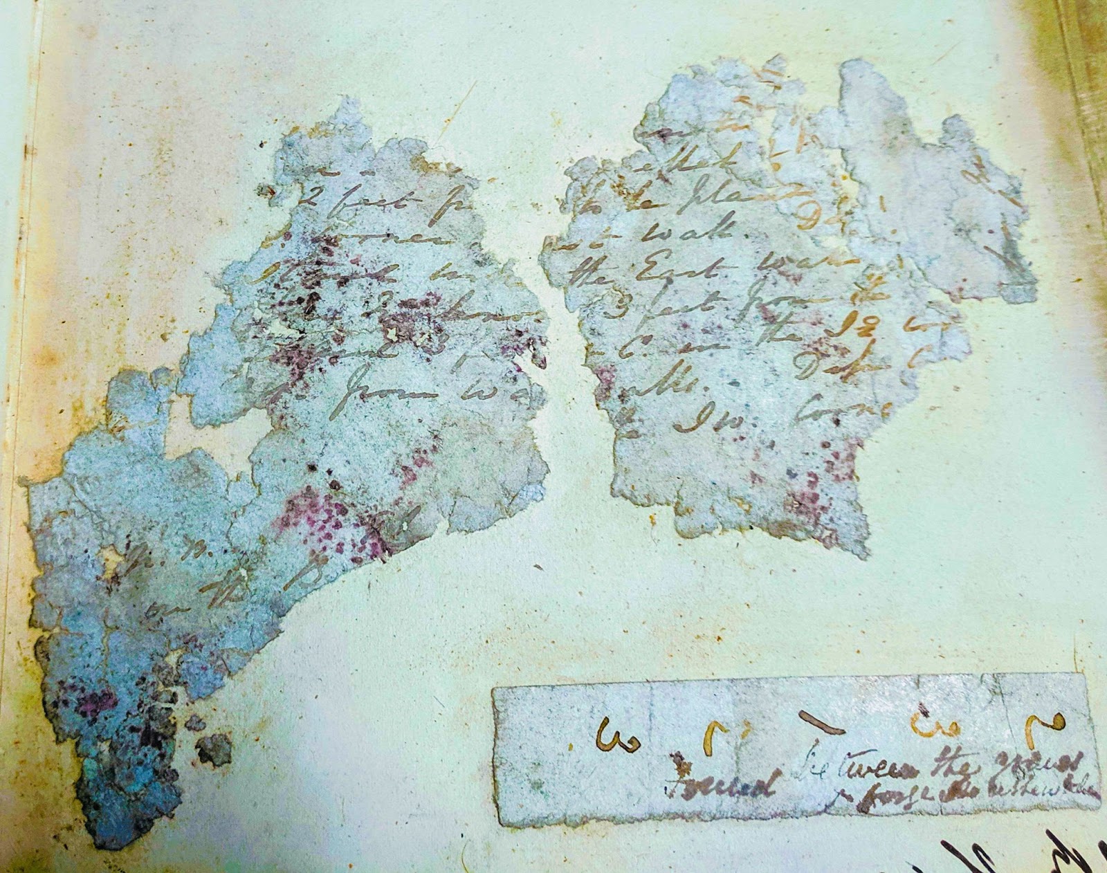 VISIONS OF THE NORTH The Hand of Crozier?