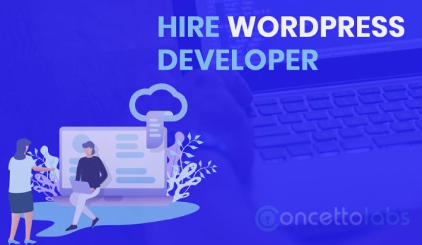 hire WordPress developer hire WordPress developer