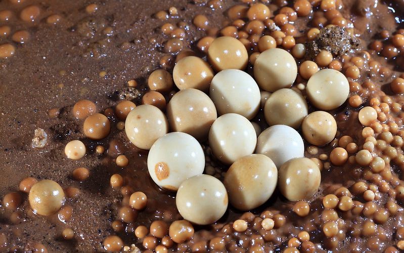 The Amazing World A cave pearl, limestone caves, Tabasco, Mexico,