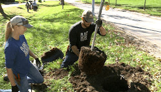Membuat lubang di media tanam yang bisa berupa tanah untuk memasukan tanaman www.simplenews.me