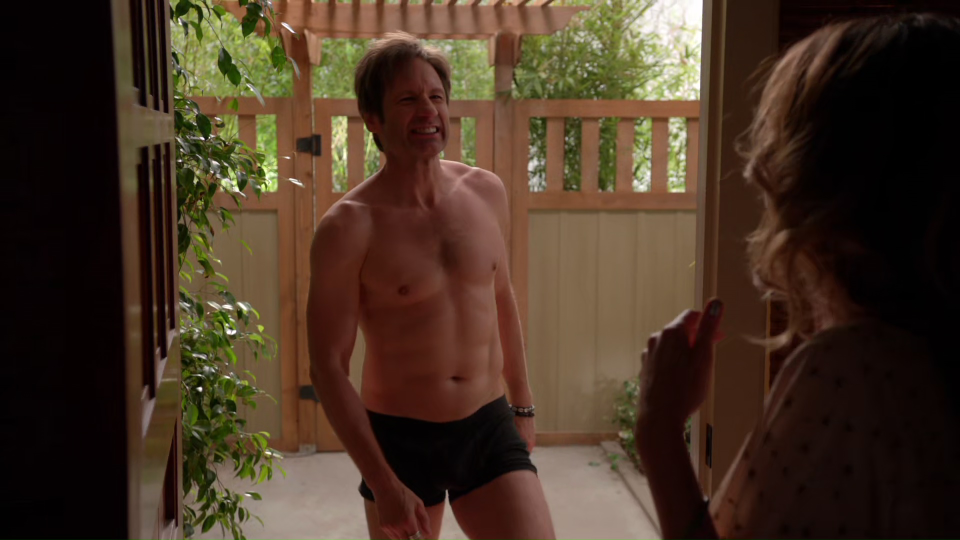 David Duchovny and Evan Handler nude in Californication 5-04 "Waiting ...