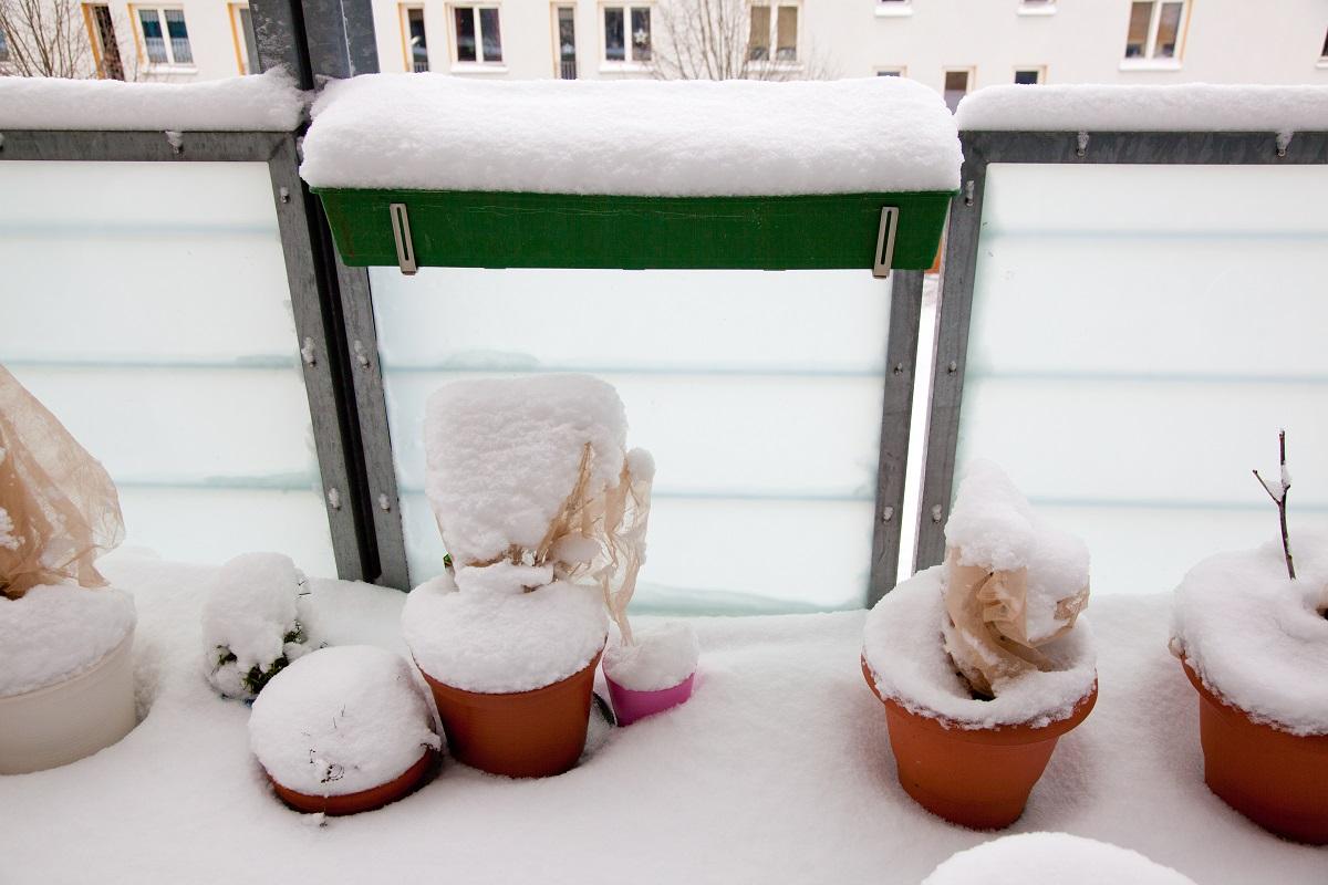 Можно в зиму посадить. Зимний балкон. Открытый балкон зимой. Лоджия зима. Балкона зимой холод.