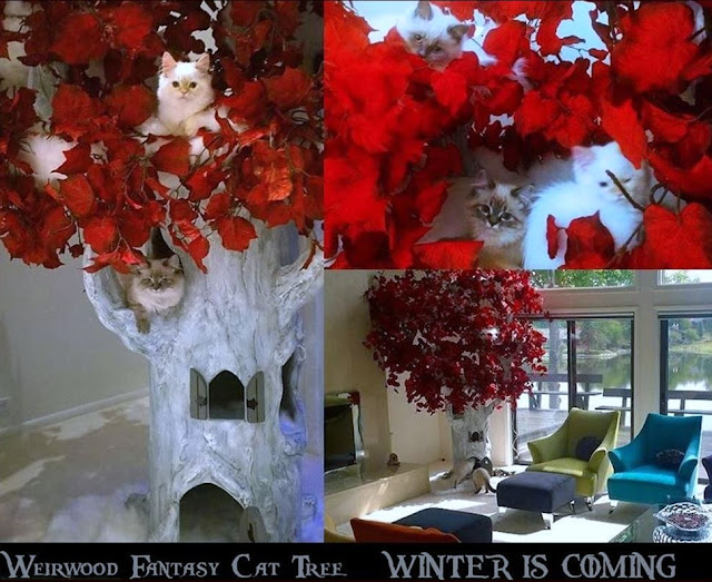 Luxury Cat Trees for Spoiled Rotten Kitties Custom Cat Trees