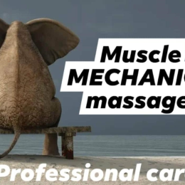 massage mechanic muscle maintenance rehabilitation