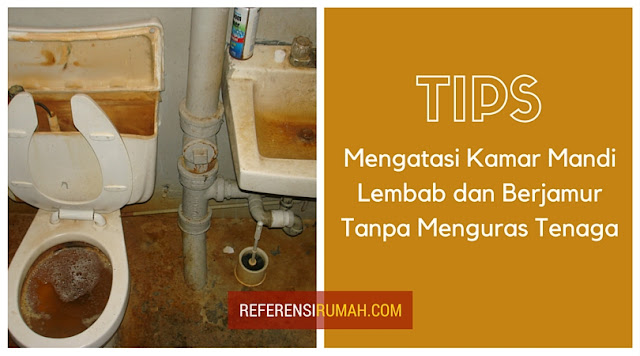 6 Tips Cerdas Mengatasi Kamar Mandi Lembab dan Berjamur