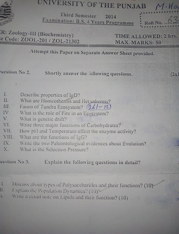 Current zoology picture