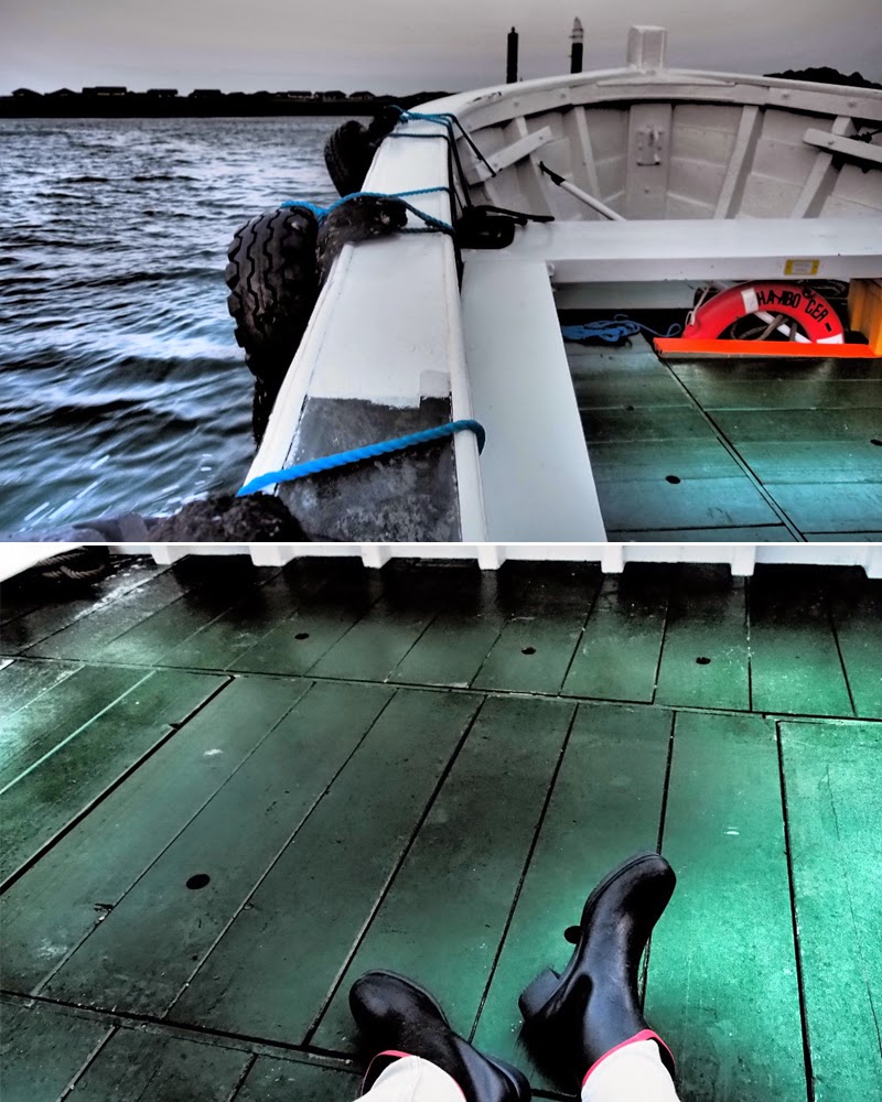 Phoenixfeuerschutz Marz 2013