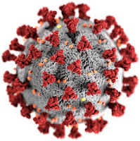 Corona Virus - कोरोना वायरस Corona Virus - कोरोना वायरस