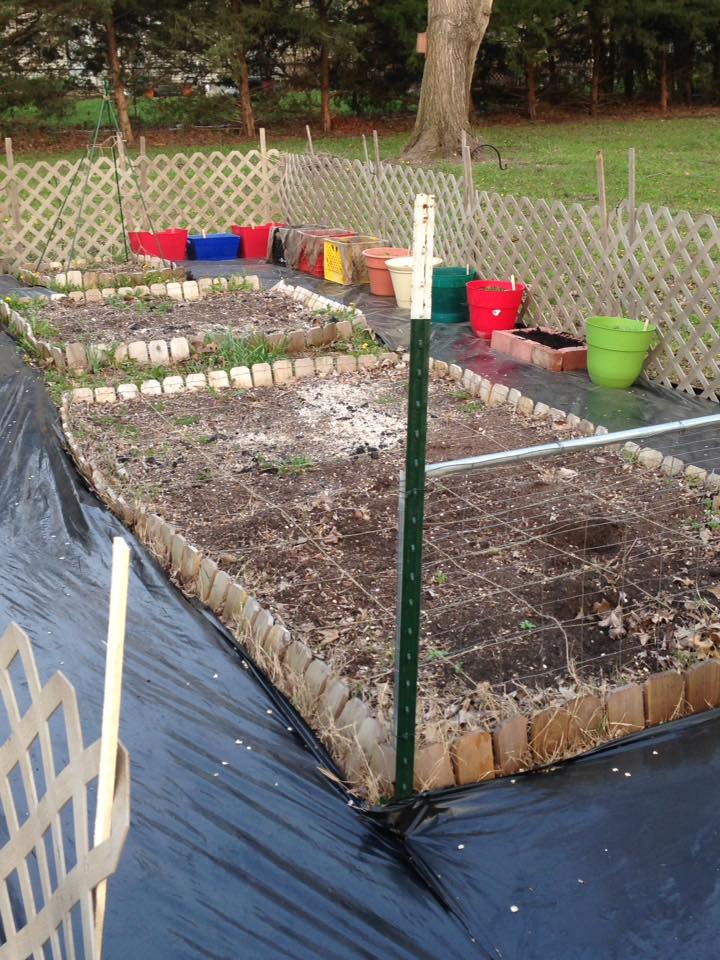 Growing Through Gardening: Garden Area Enlargement and Fence Construction