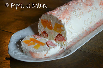 Bûche glacée clémentine et mangue © Popote et Nature Bûche glacée clémentine et mangue © Popote et Nature