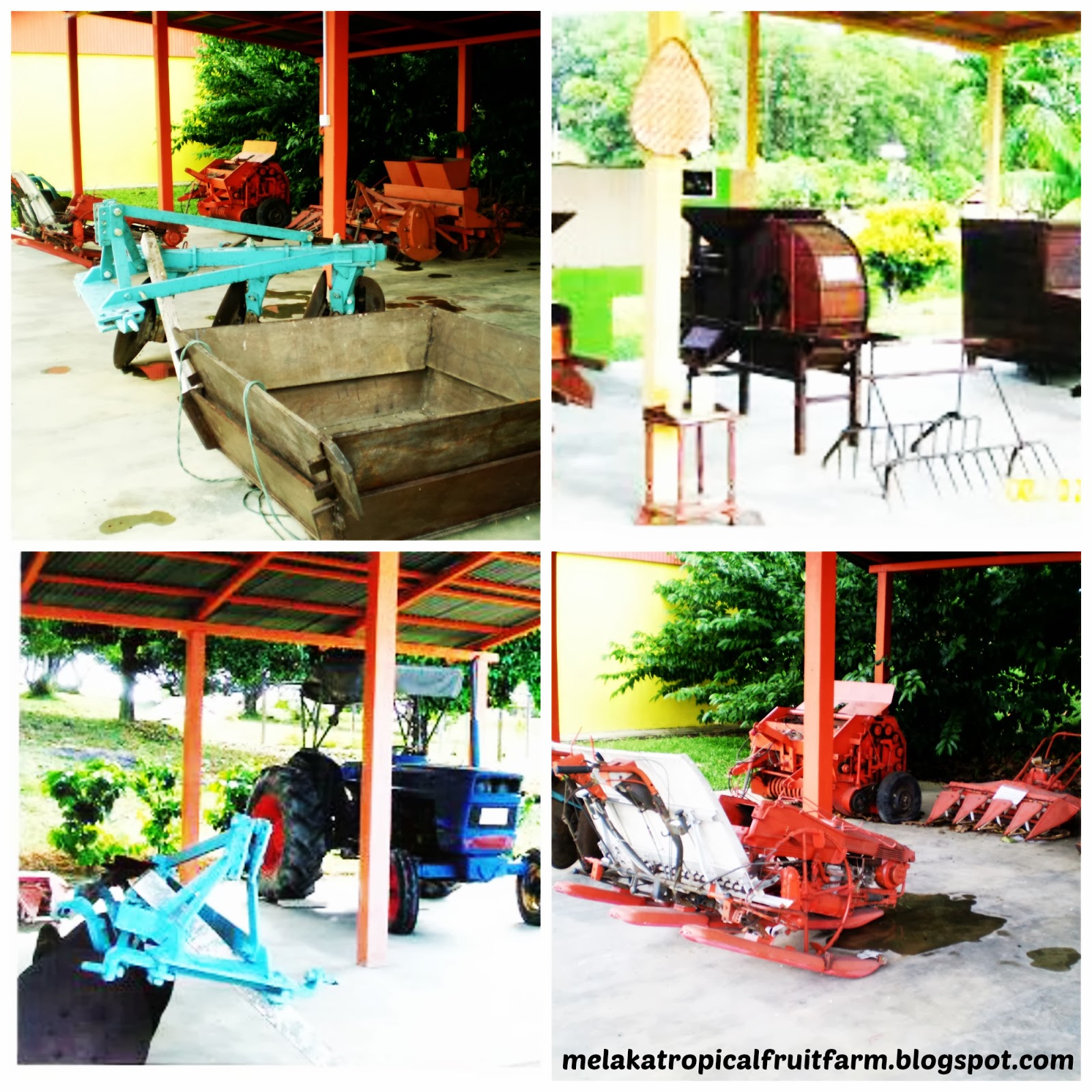 Melaka Tropical Fruit Farm ATTRACTION