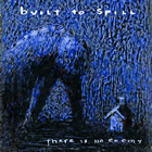 Built To Spill: There Is No Enemy