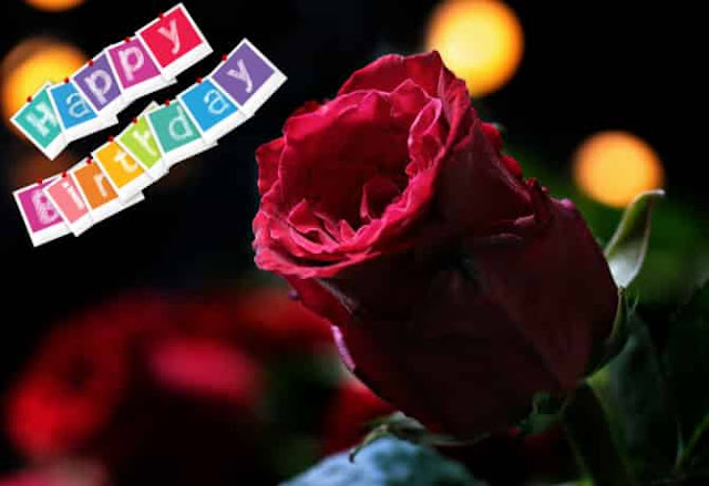 Happy birthday bro Happy birthday bro