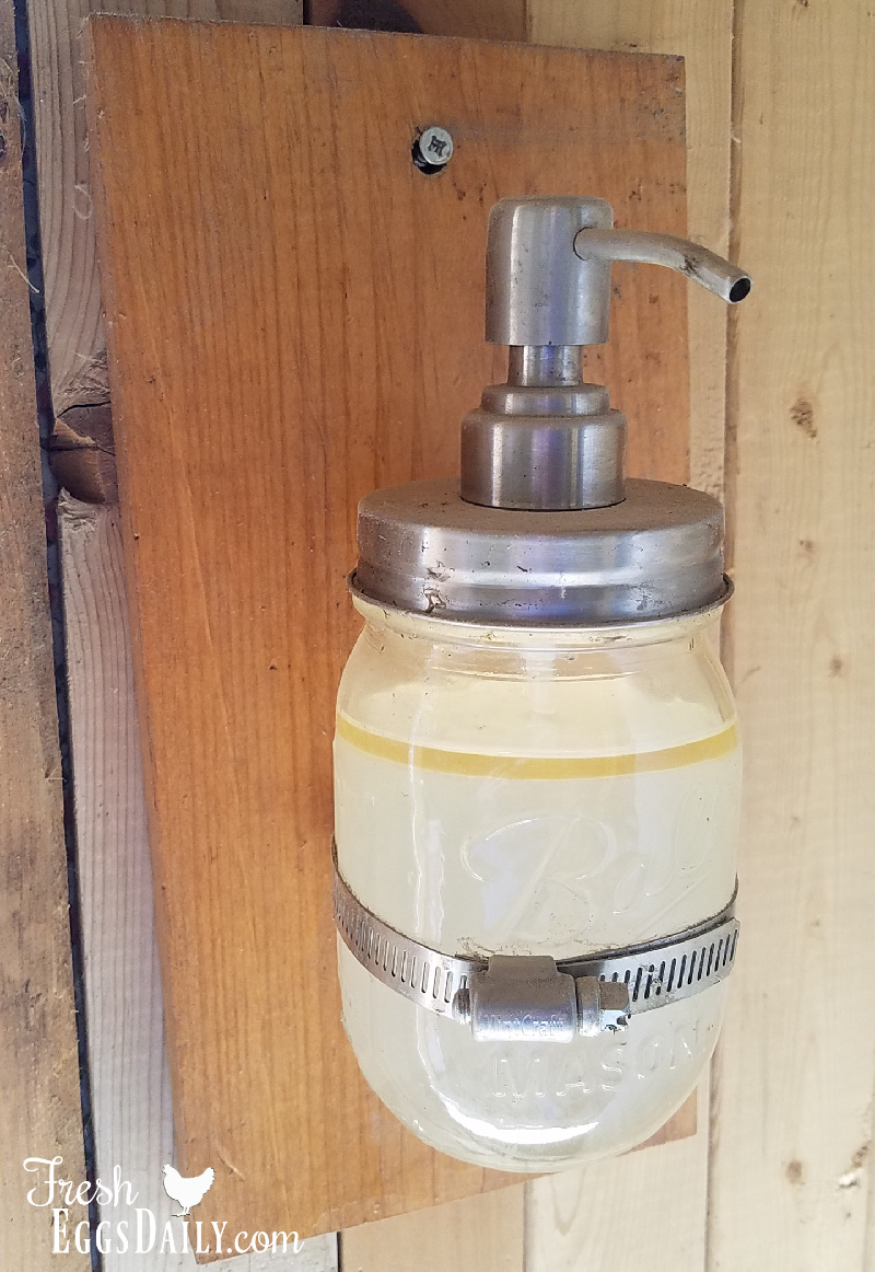 DIY Chicken Coop Gel Hand Sanitizer Dispenser Fresh Eggs Daily® with