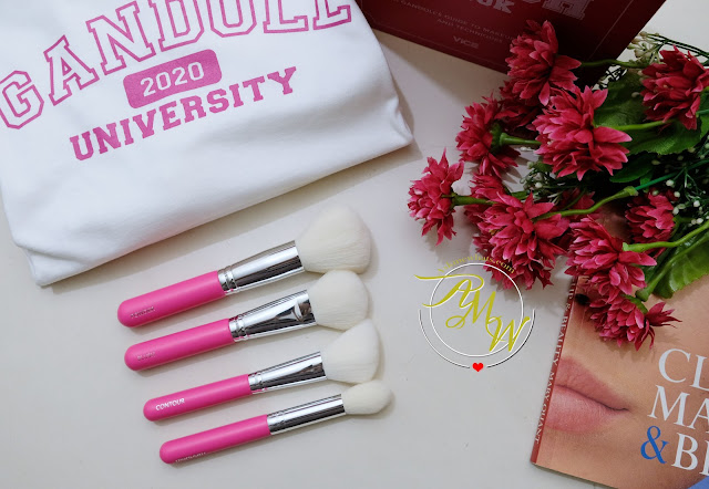 Vice Cosmetics' Pink Brush Collection Review