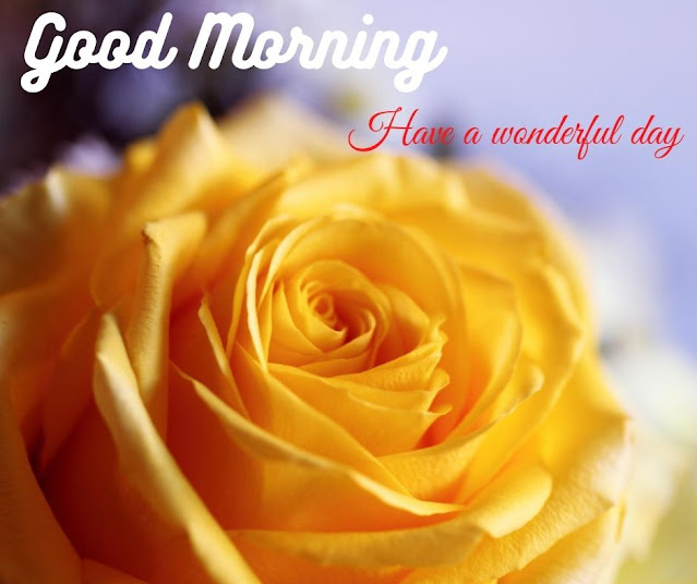 good morning images flower