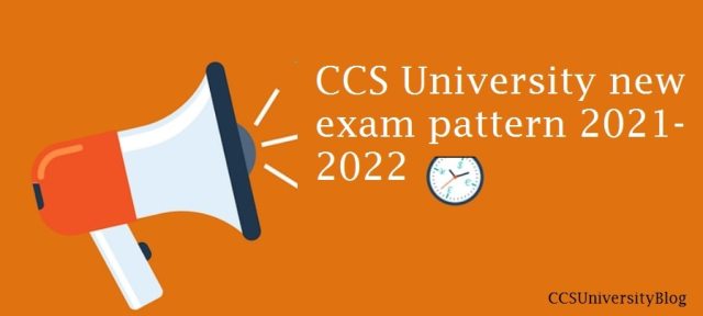 CCS University new exam pattern