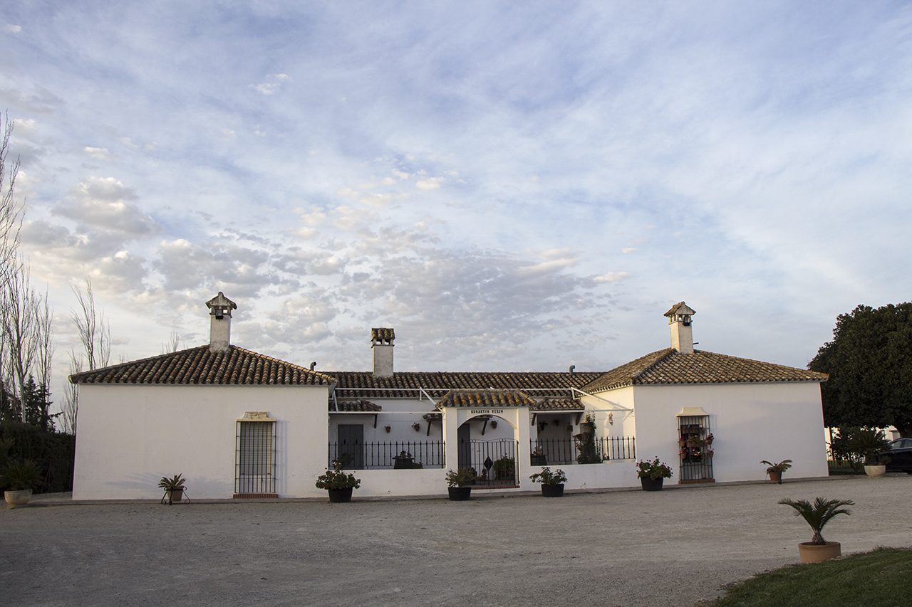 Entorno a Jerez Por las tierras de Albalá y el Regantío.Un paseo entre Entorno a Jerez Por las tierras de Albalá y el Regantío.Un paseo entre