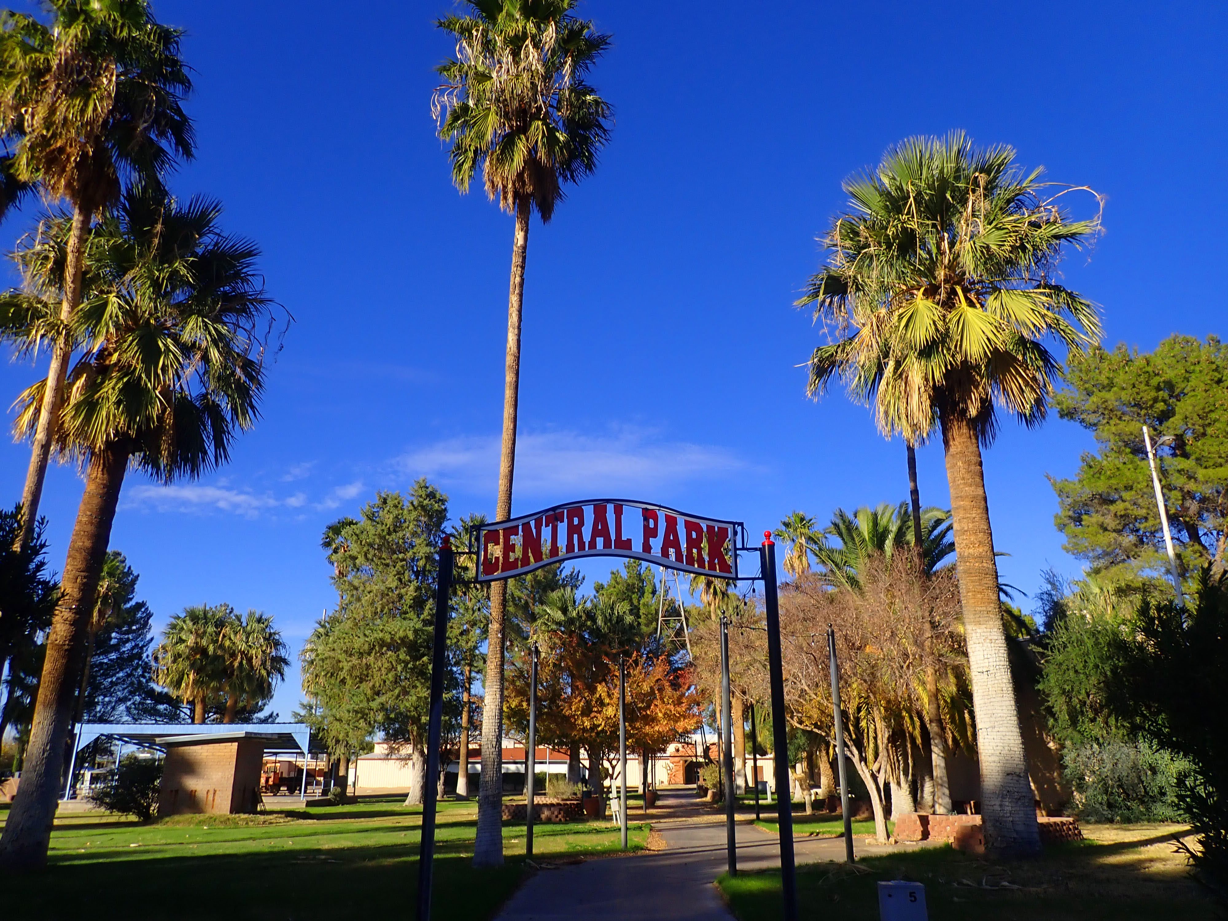 PAMPERED PENGUIN December 2021, 2020 McNeal, Arizona