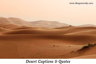 399+ Desert Instagram Captions [ 2021 ] Also Desert Quotes For Picture