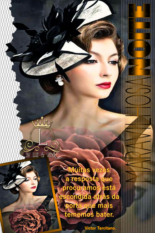NOVO188%2B%2528MB%2529maryluz.png