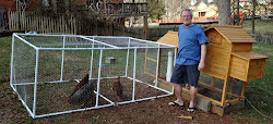 chicken chickens coop run bottom glenn backyard started getting gurley assorted thoughts jr