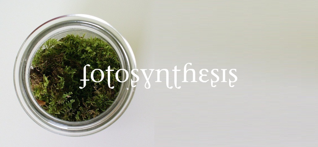 fotosynthesis