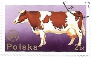 Selo Vaca leiteira