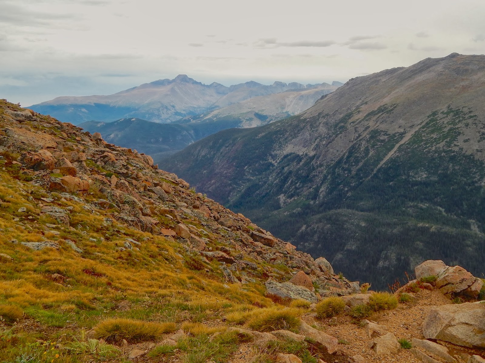 Impression Evergreen: The Alpine Tundra - Paradise Restored
