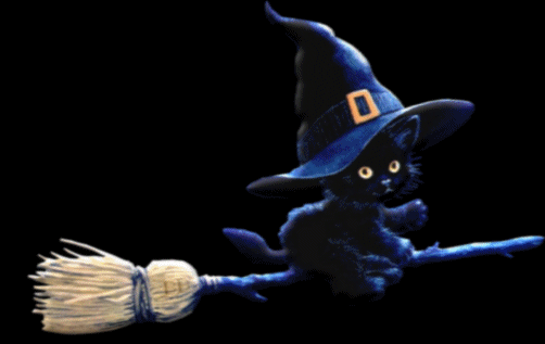 gato-mito-mala-suerte-brujas