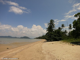 Koh Samui, Thailand daily weather update; 8th September, 2015