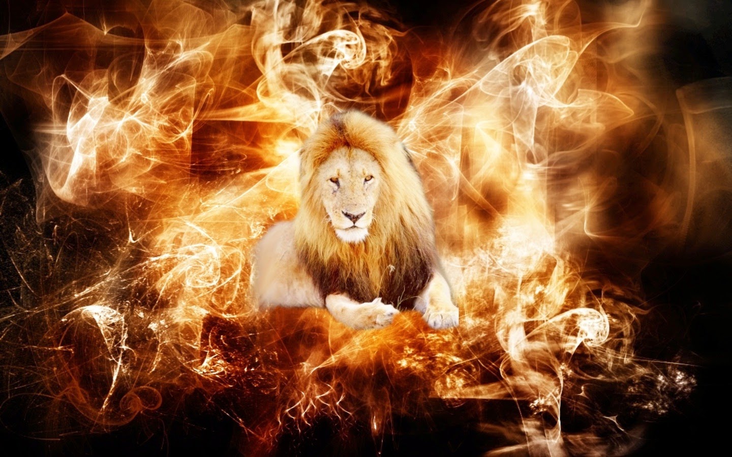 Лева и дракон. Огненный Лев. Лев в огне. Лев из огня. Лев на заставку.
