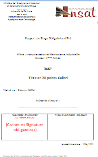 rapport de stage Instrumentation et Maintenance industrielle