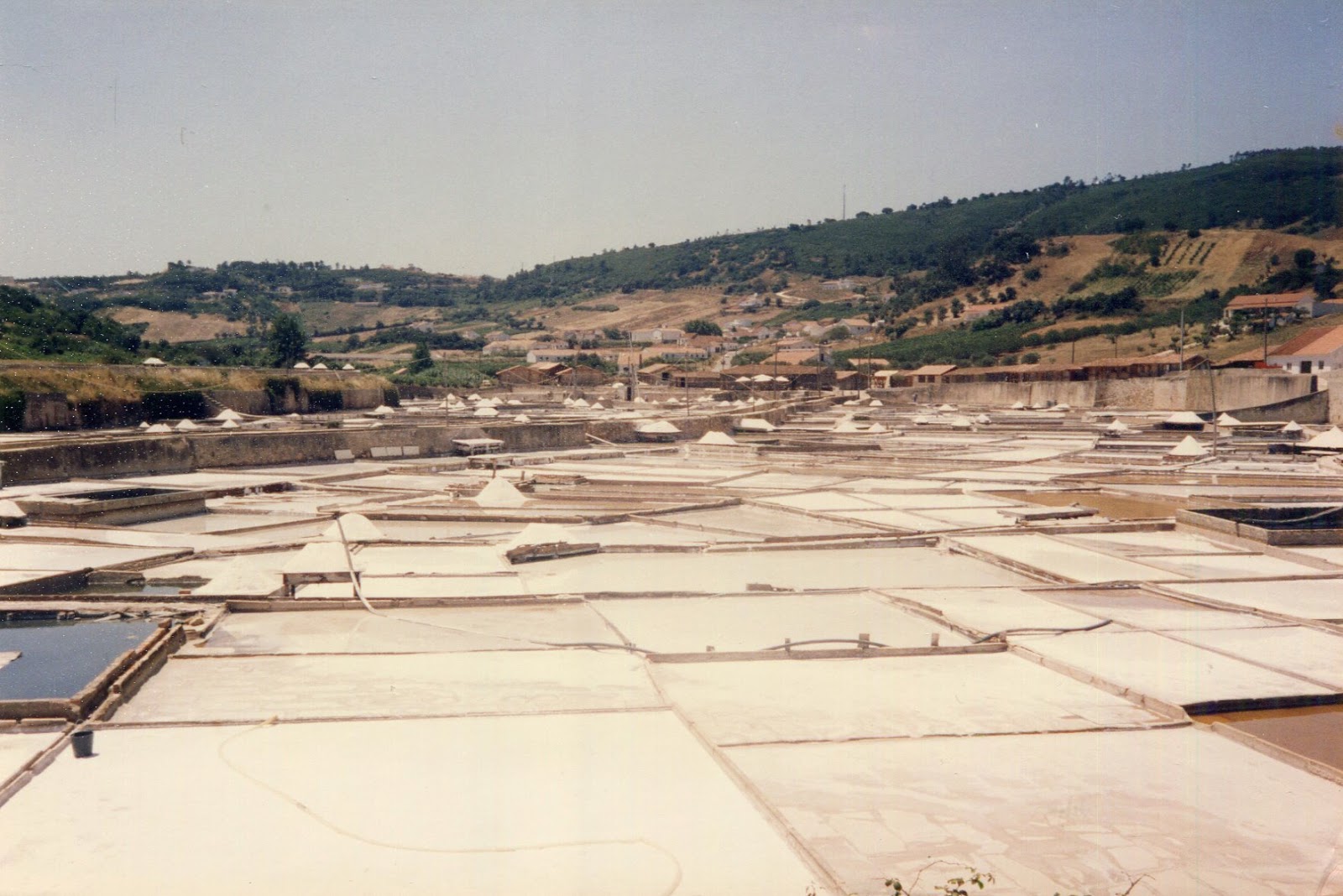 Surrealismo Internacional Salinas