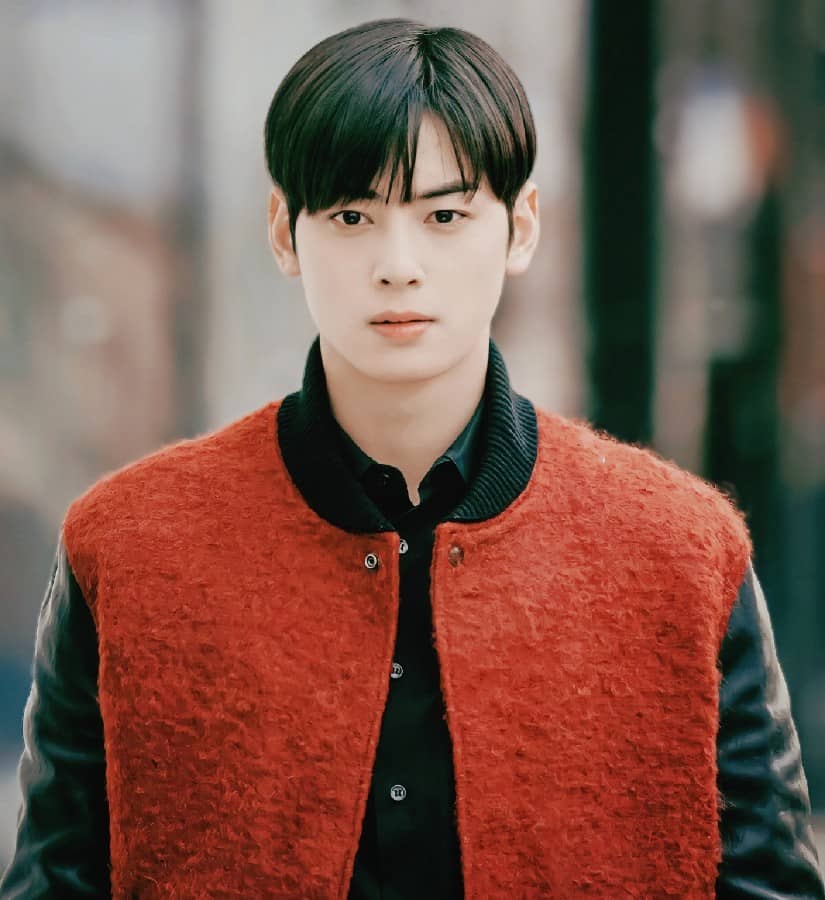 True Beauty Actor Cha Eun Woo Upcoming Movie 'Decibel' Cast Details and