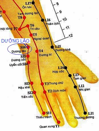 Vị trí huyệt dưỡng lão
