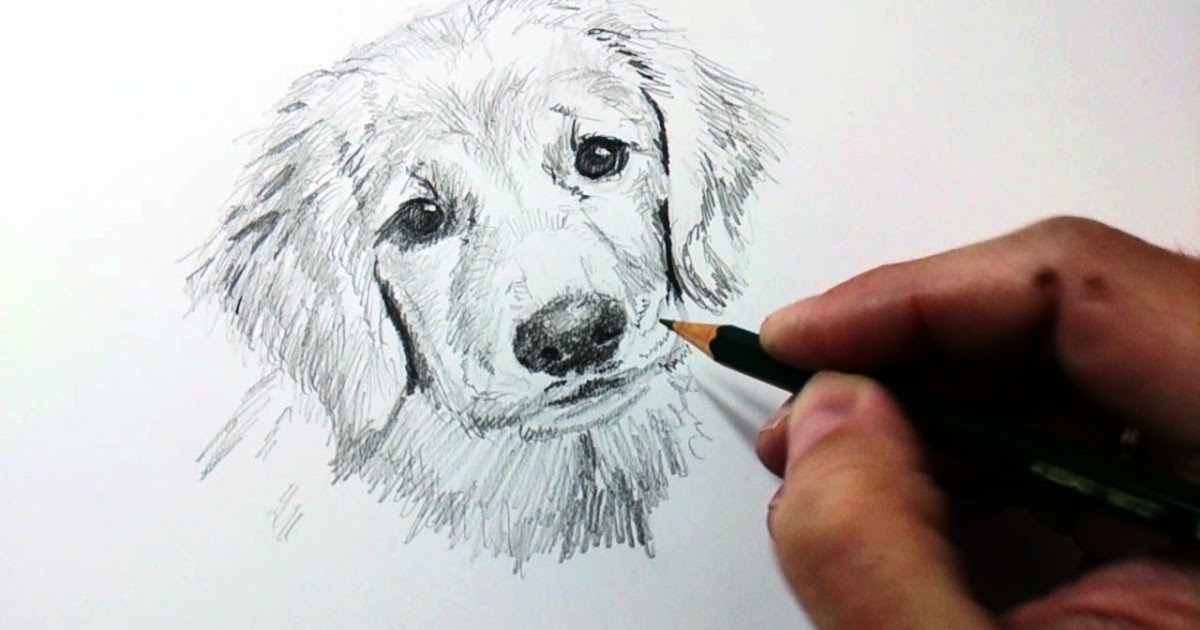 10 Cursos online gratis de dibujo artístico