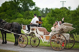 Stunning Cinderella Wedding Carriages
