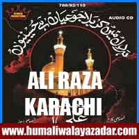 http://ishqehaider.blogspot.com/2013/11/ali-raza-karachi-nohay-2014.html